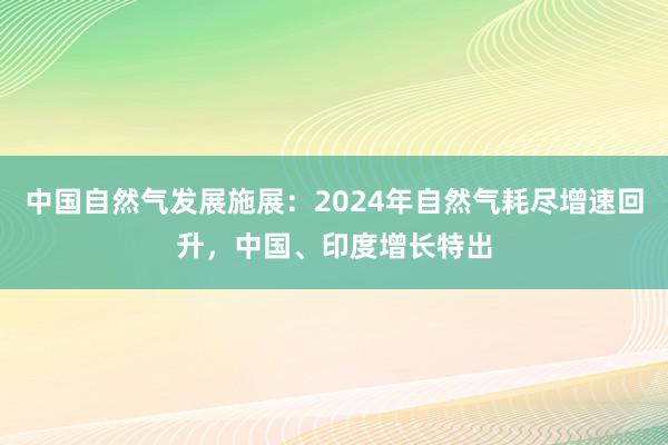 中国自然气发展施展：2024年自然气耗尽增速回升，中国、印度增长特出